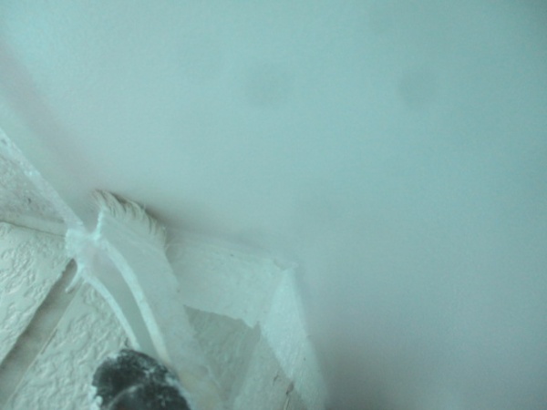 １回目軒天塗装中です