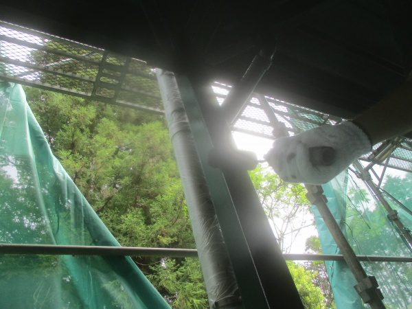 階段裏板金部の上塗り中です