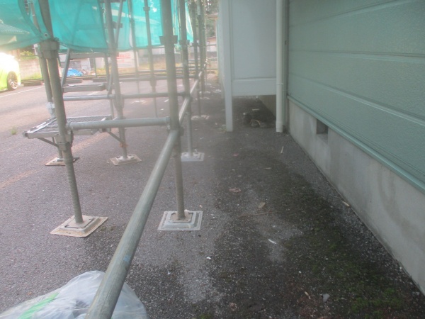 養生をばらしました