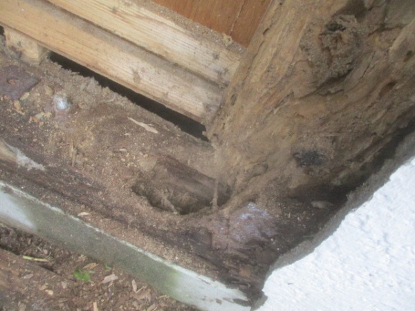 崩壊した外壁を撤去しました