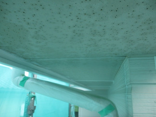 軒天目地のダメ込み終了です