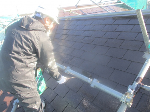 大屋根の上塗り中です