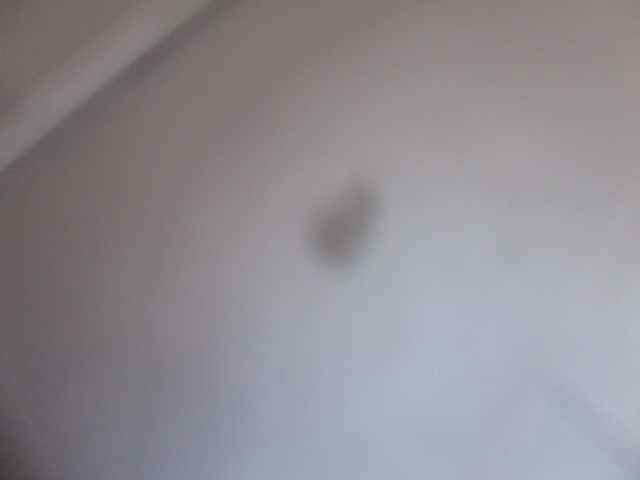 タッチアップの状態です