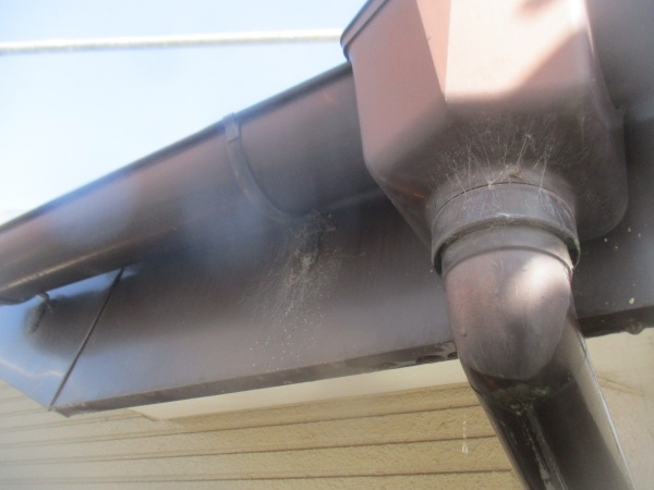 施工前の鼻隠しと雨樋の状態です