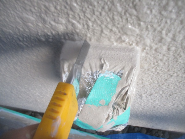 養生を払い中です