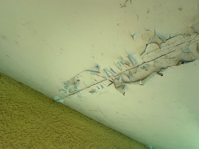 軒天の塗装前です