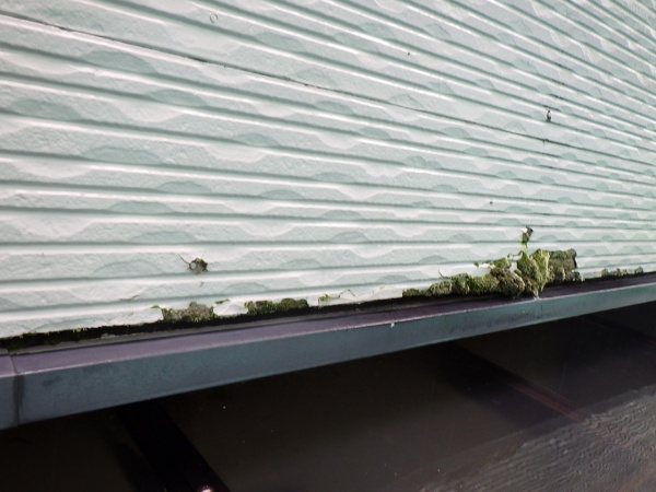 外壁に付帯している役物の状態です