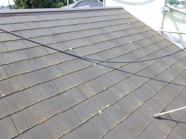 洗浄前の屋根の状態です