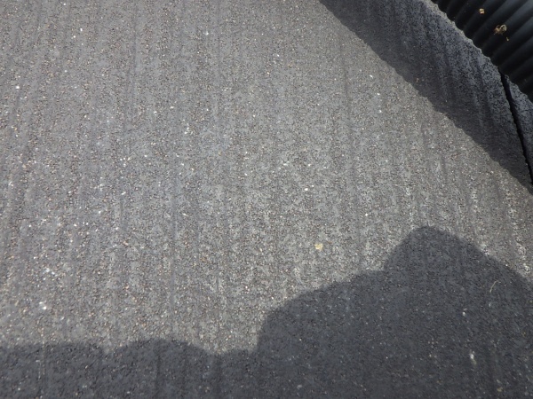 洗浄後の大屋根の状態です