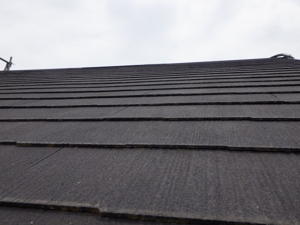 洗浄後の大屋根の状態です