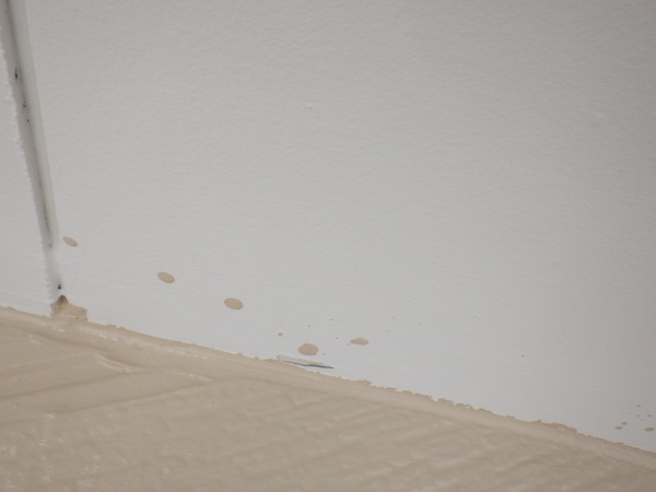 ダメ直し前の軒天の状態です