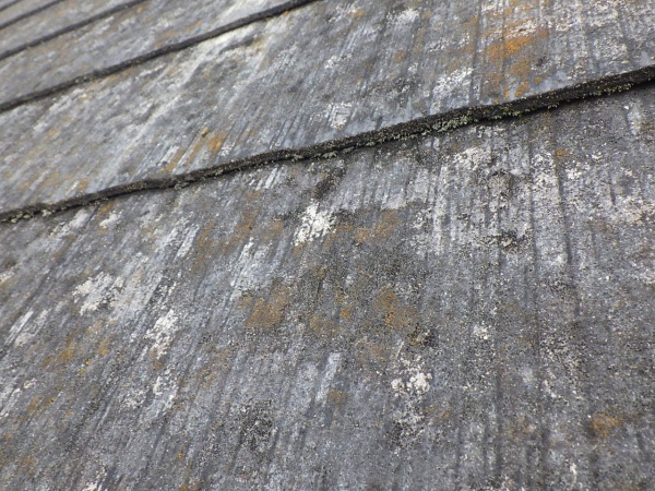 洗浄前のスレート屋根材の状態です