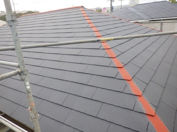 大屋根の下塗りが終了しました