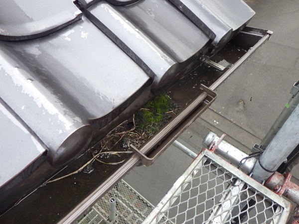 清掃前の雨樋の状態です