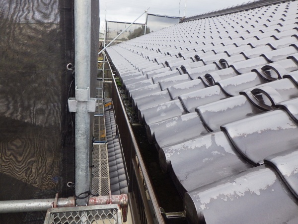 清掃前の雨樋の状態です