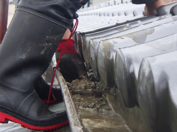 軒樋の清掃中です