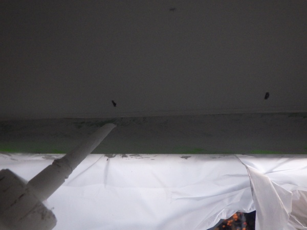 ステープルのシーリング中です