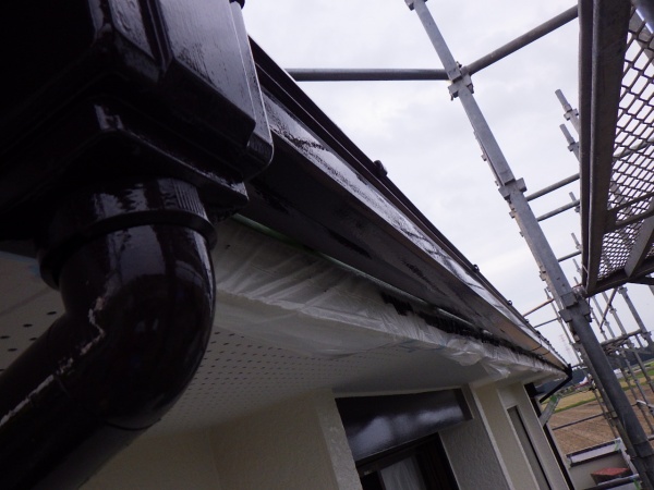 雨樋の上塗り終了です