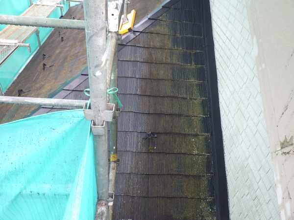 施工前の屋根の状態です