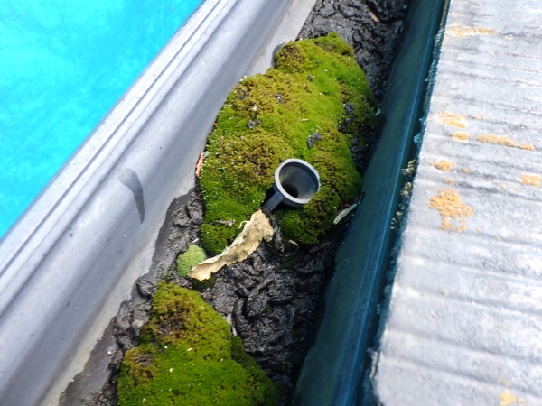 施工前の軒樋の状態です