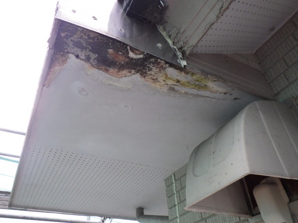 傷んだ軒天の状態です