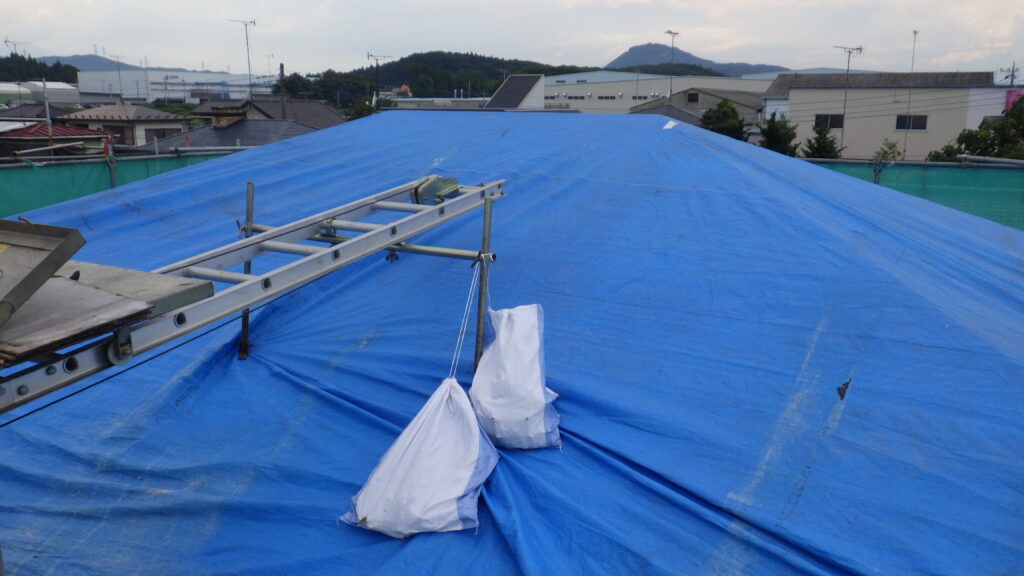 雨養生です