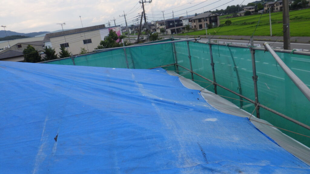 雨養生です