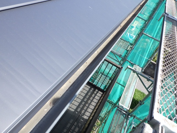 軒樋内の掃除をしました