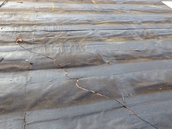 ルーフの撤去が終了しました