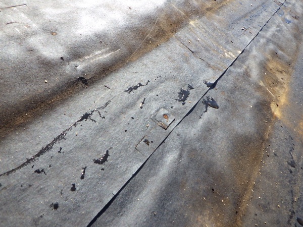 雨漏り箇所です