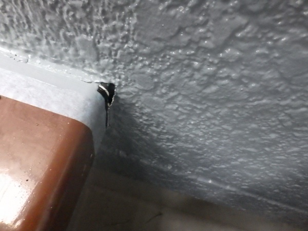 ダメ直し中です