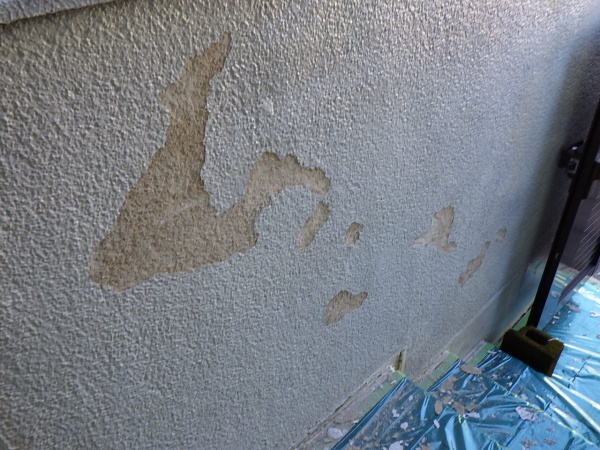 浮いた塗膜の撤去中です