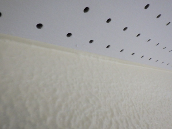 軒天養生を剥がしました