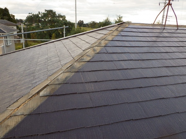 ドーマの解体補修が終了しました