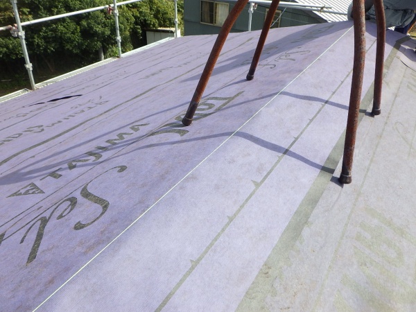 墨を引きました