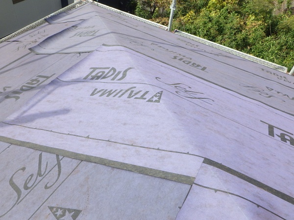 墨を引きました