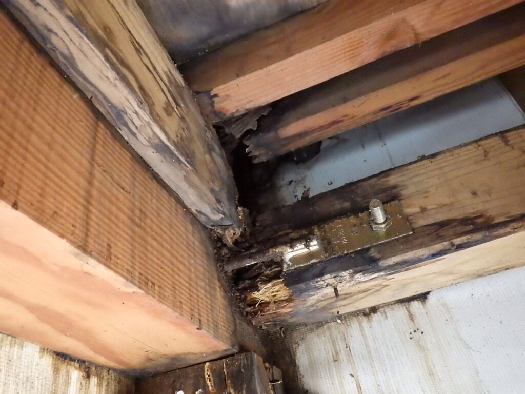 軒天内部の状態です