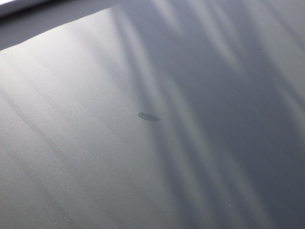 タッチアップ終了です