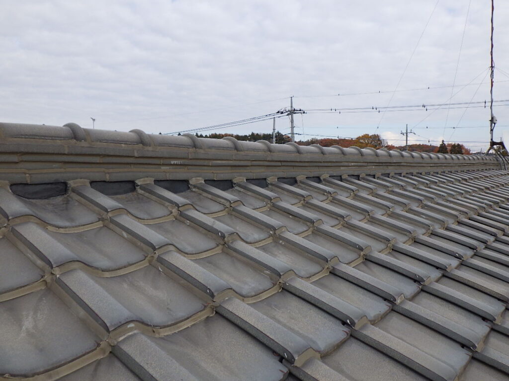 完工後の大屋根南面の状態です