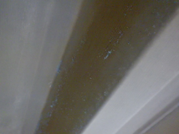 ウレタンの撤去終了です