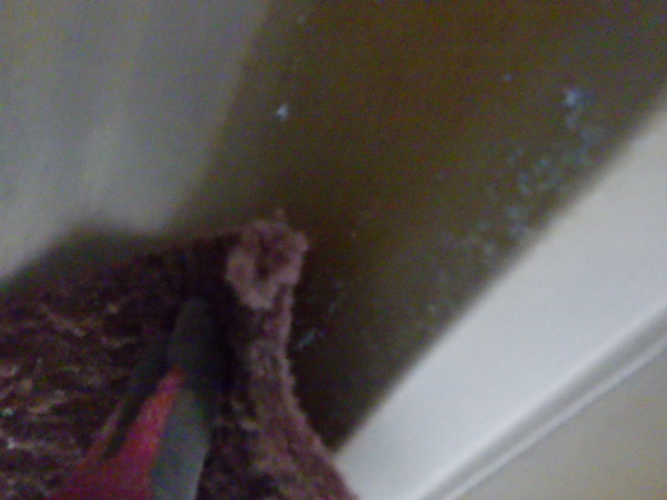 マジックロンでケレン中です