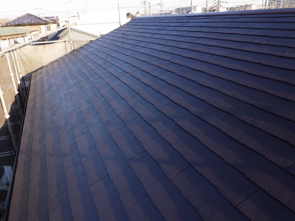 大屋根塗装の完工です