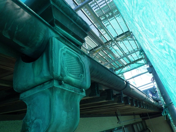 雨樋と化粧垂木の状態です