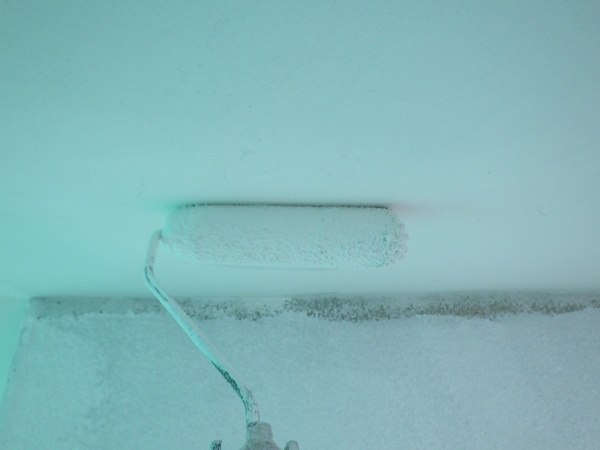 １回目軒天のローラー塗装中です