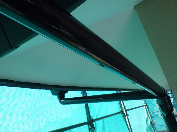 雨樋の上塗り終了です