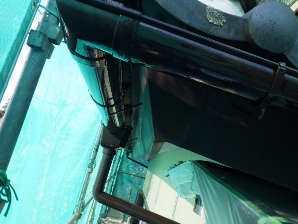 雨樋の上塗り終了です