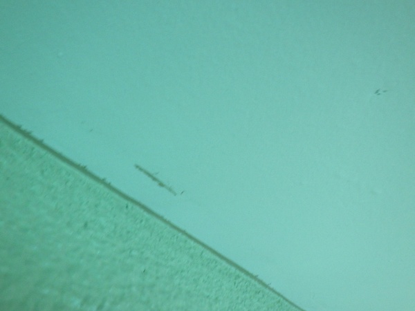 軒天の補修個所です