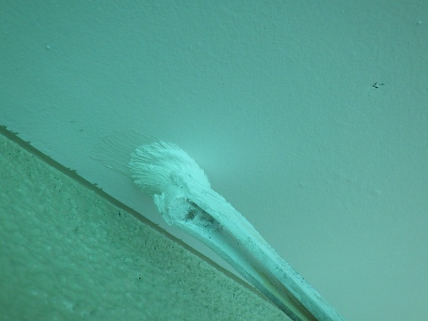 軒天の補修中です