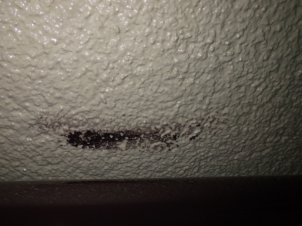 外壁の補修個所です