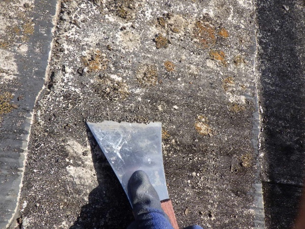 屋根のケレン中です